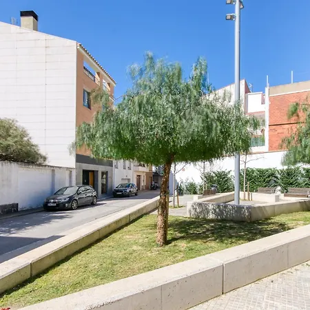 Els Olivars Apartment *